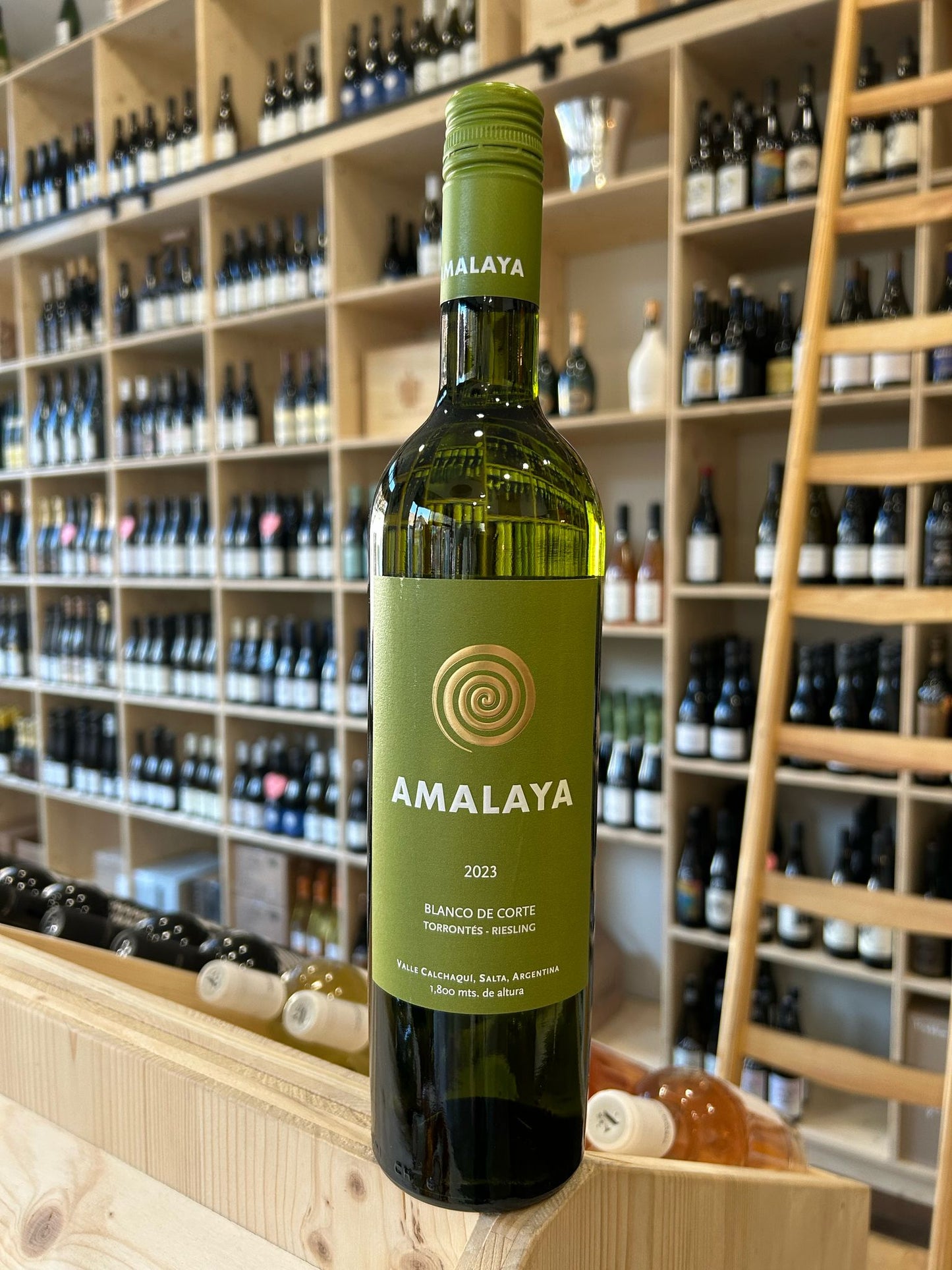 Amalaya BLANCO - 2023