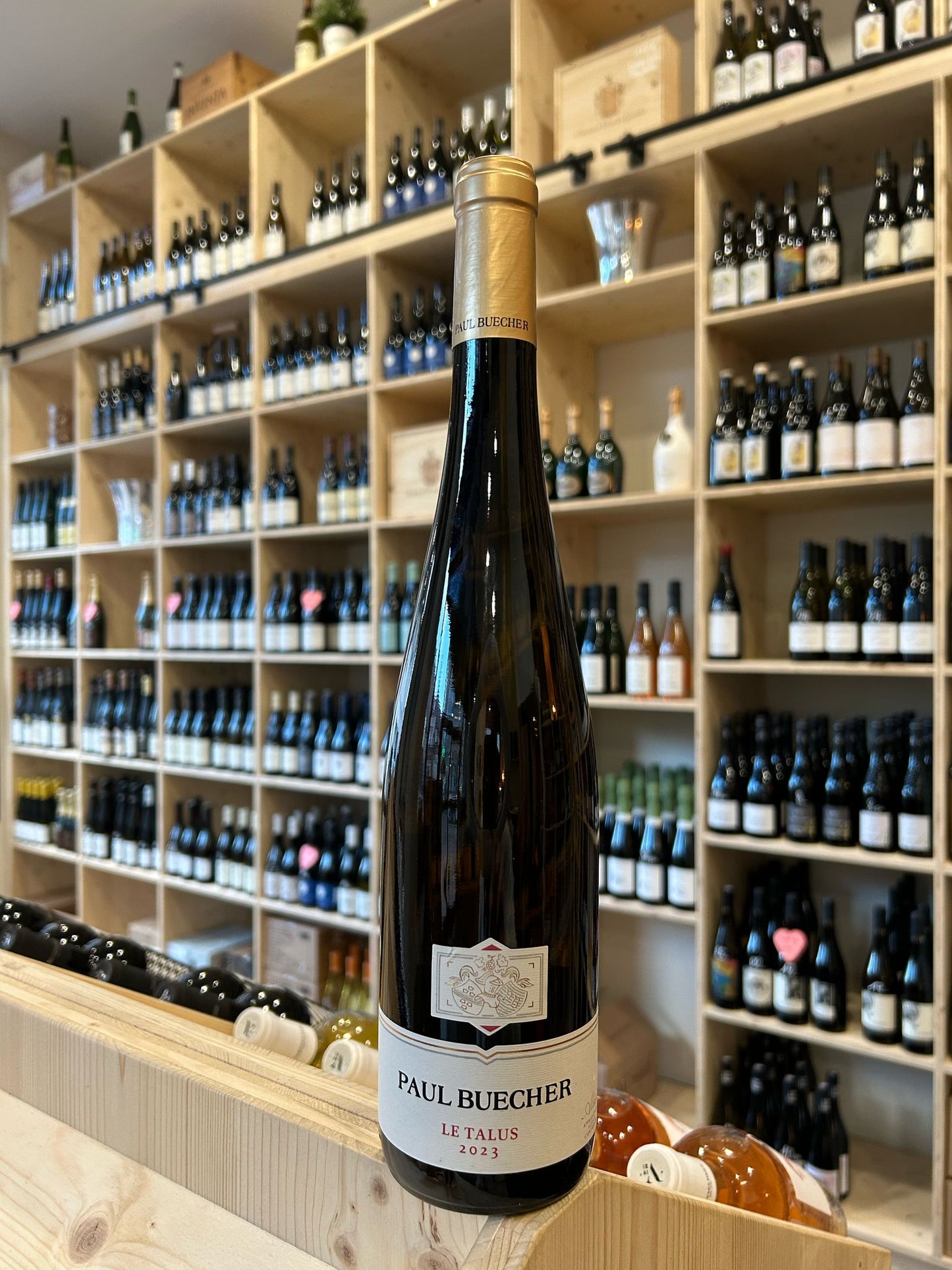 Paul Buecher TALUS - 2023