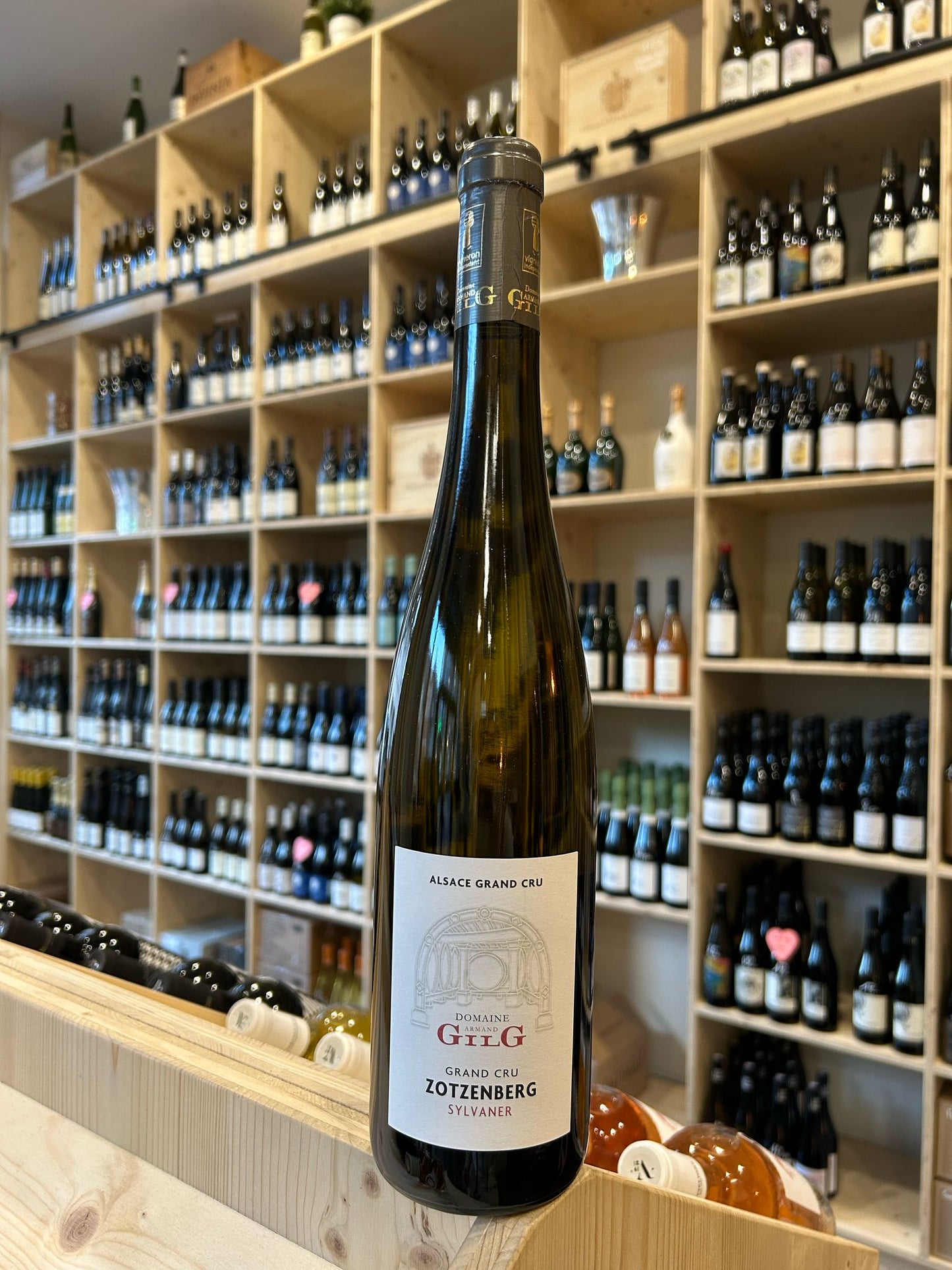 Domaine Gilg Sylvaner Grand Cru Zotzenberg - 2022